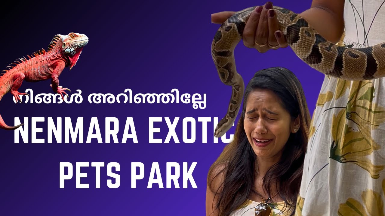 Nenmara pets park Palakkad #nenmara #pets #petspark
