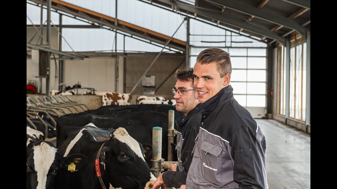 Familie Hoorn uit Wanneperveen Moderniseert