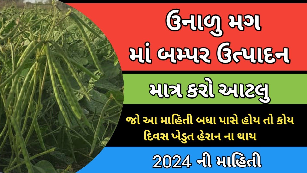 ઉનાળુ મગ નું વાવેતર કરતા પહેલા આ વીડિયો જોવો જરૂરી છે | Unalu Mag ni Kheti