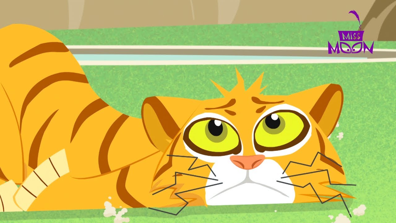 Im Auge des Tigers | Miss Moon | 25' Zusammenstellung | Cartoons für Kinder