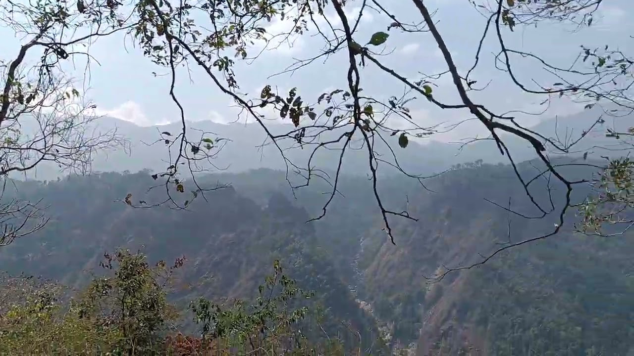Wayanad tourist places latest video 
