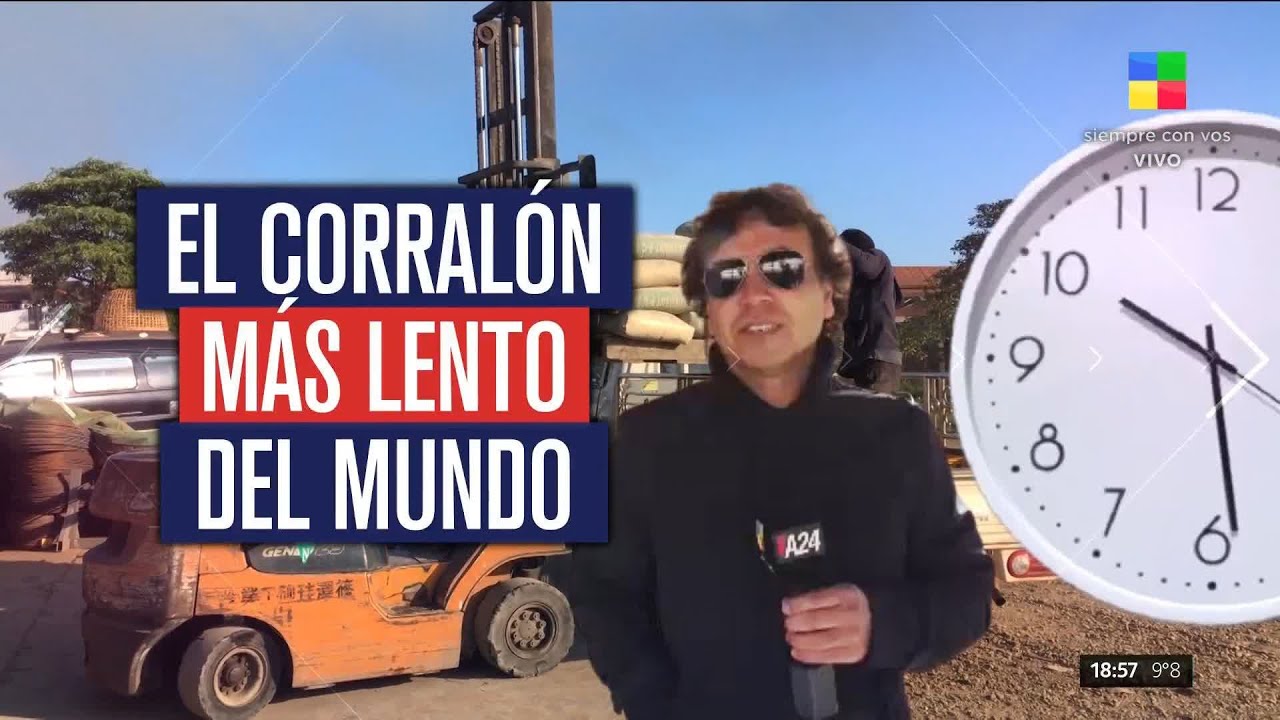 📺 El corralón más lento del mundo: 8 meses para recibir los materiales