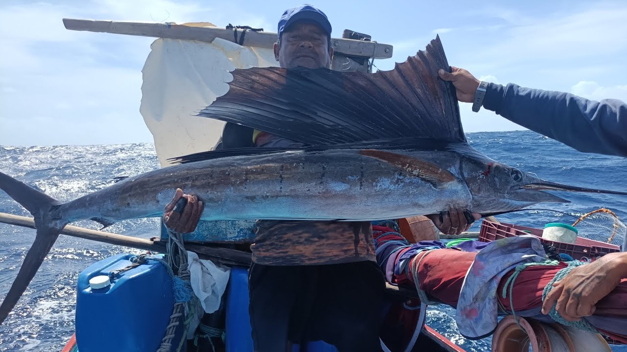 FISGADA DE AGULHÃO DE VELA | @pescaabencoada 🎣😱