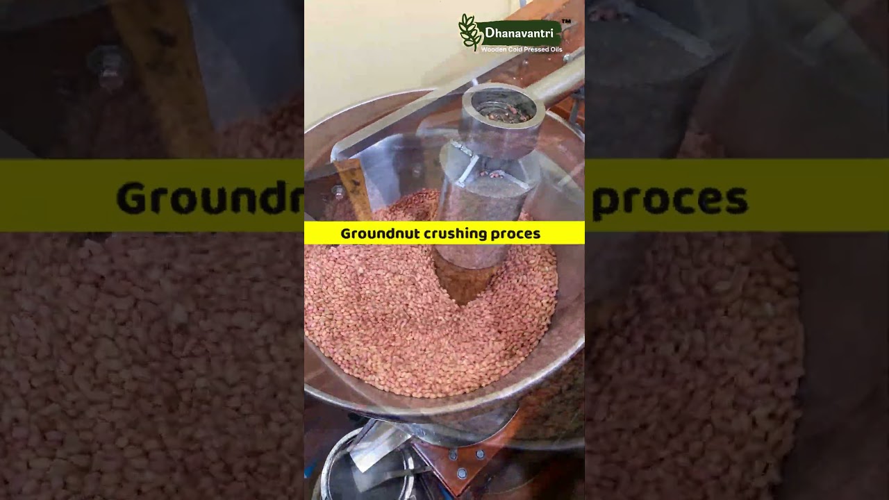 How to Make Groundnut oil (cold pressed | Wood press | Wooden Cold Pressed | Wood cold  press)