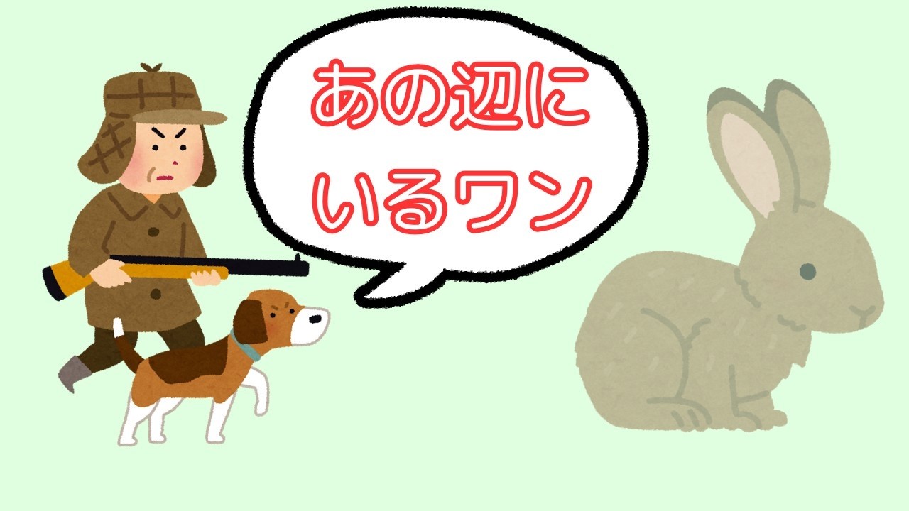 ハンターVS透明うさぎ：数学オリンピック史上最難問