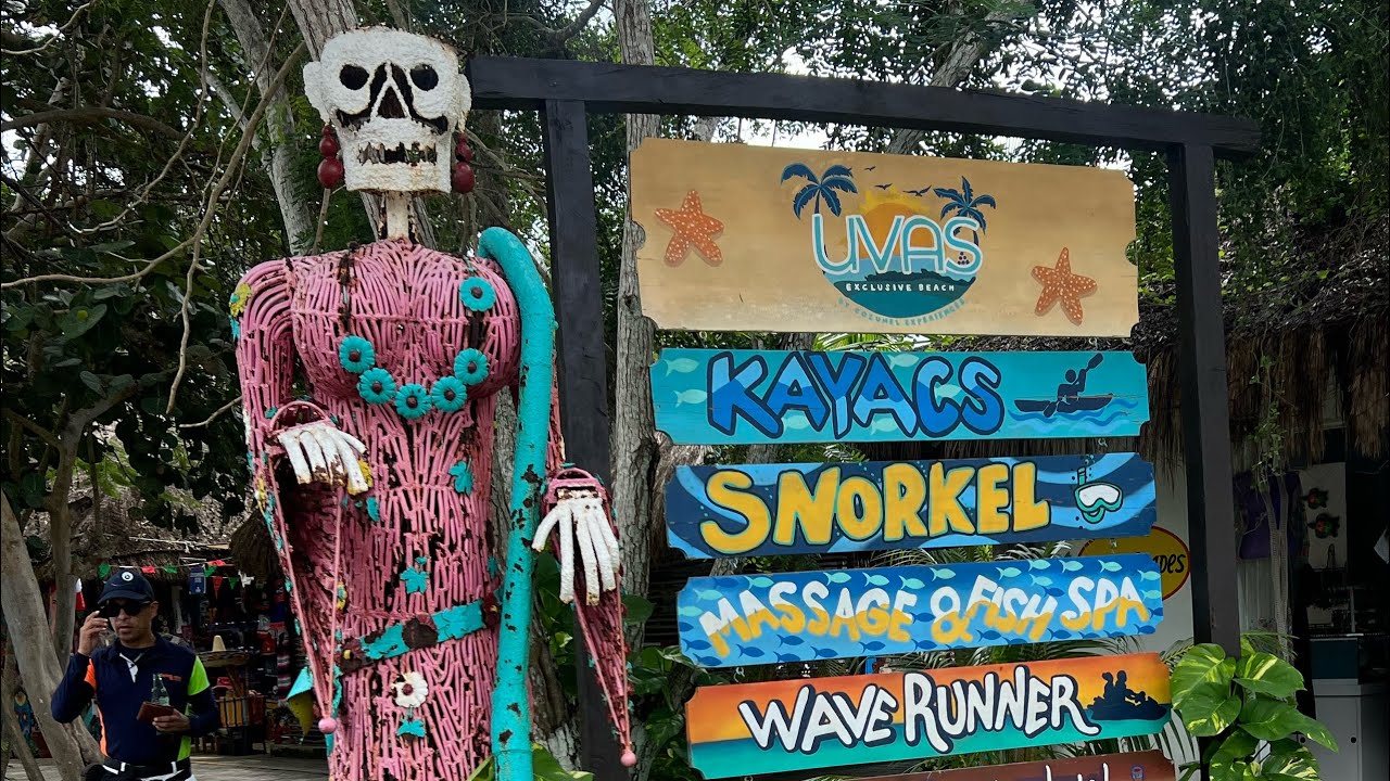 TNT 78: Mexico Beach Day, Feet-Eating Fish, and Snorkeling After Fajitas 🤿