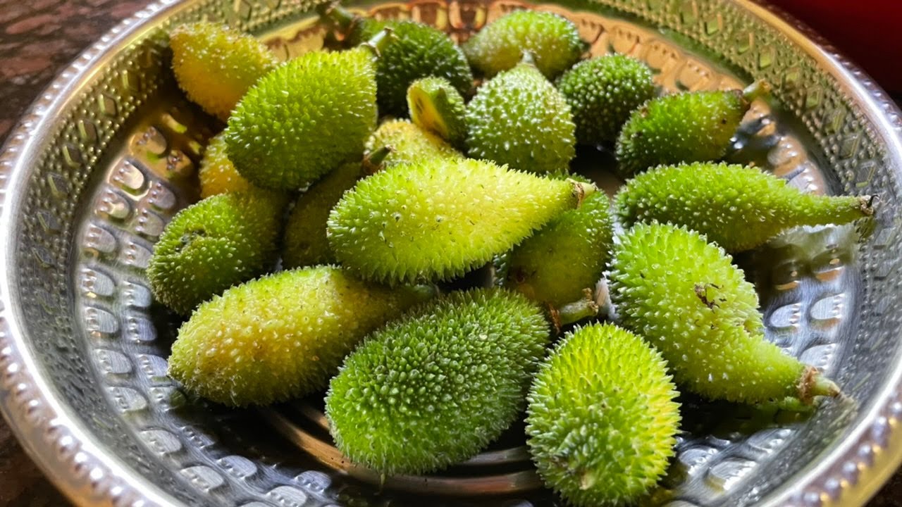 कोकणातील पावसाळ्यातील रानभाजी 