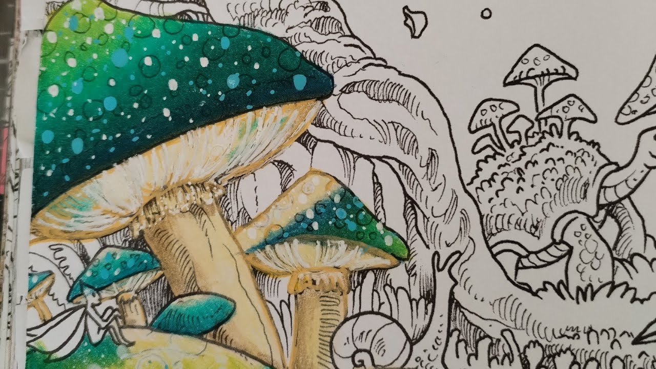 Mythomorphia - la forêt fantastique