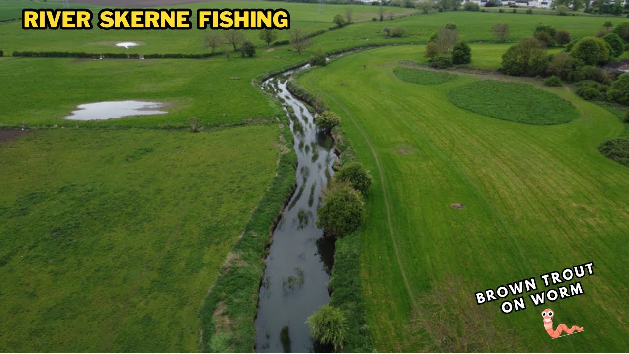 RIVER SKERNE FISHING BROWN TROUT MAY 2024