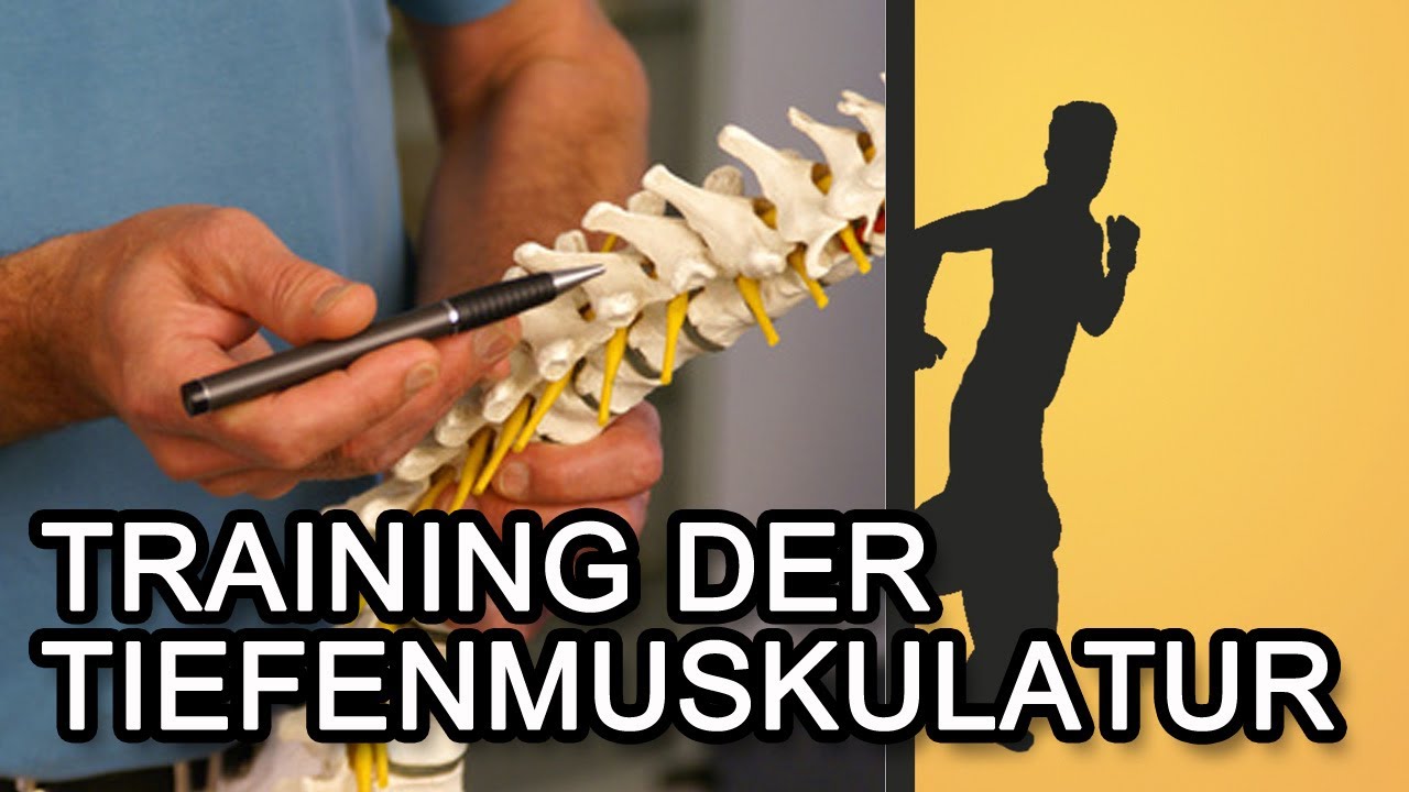 Training der Tiefenmuskulatur für einen starken Rücken!