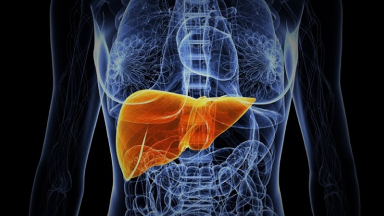 Cannabis Can Protect Liver From Effects of Alcohol