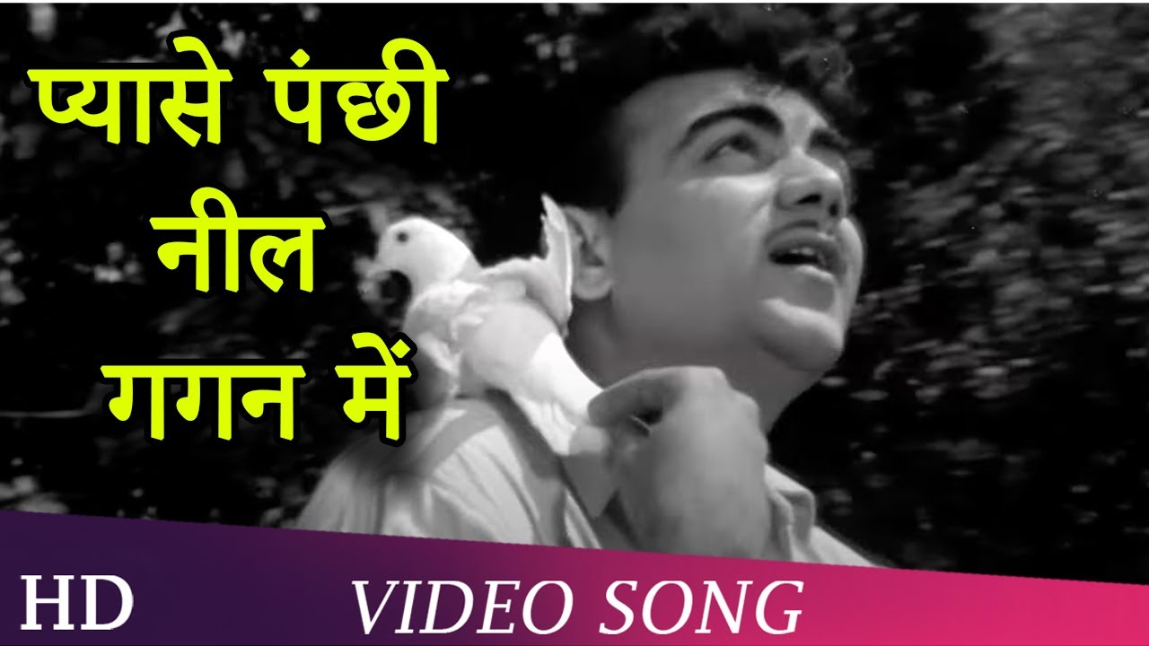 Pyaase Pachni Neel Gagan Mein | Pyase Panchi (1961) | Mehmood | Ameeta | Jeevan