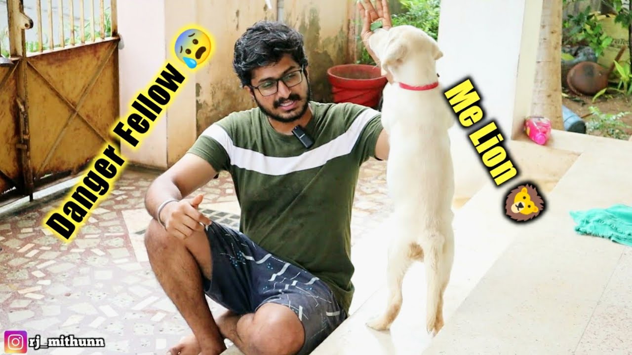 MAARA play time🥰 / மாறா வீட்டை விட்டு  வெளிய ஓடிட்டான் 😥