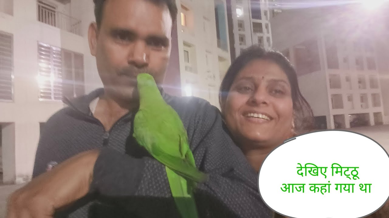 देखिए मिट्ठू आज कहां गया था 🥰🦜#youtube #viralvideos # #parrot #agra 🥰🦜