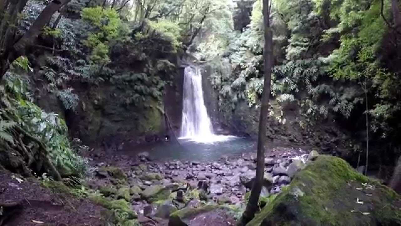 Einsame Dschungel-Wanderung auf Sao Miguel zu den Wasserfällen - Salto do prego + Salto do Cagarrão