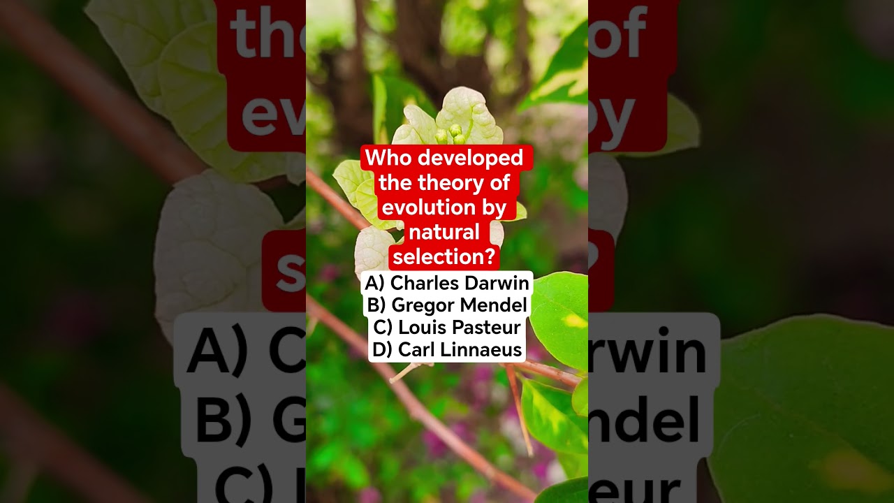 Who developed the theory of evolution by natural selection?
