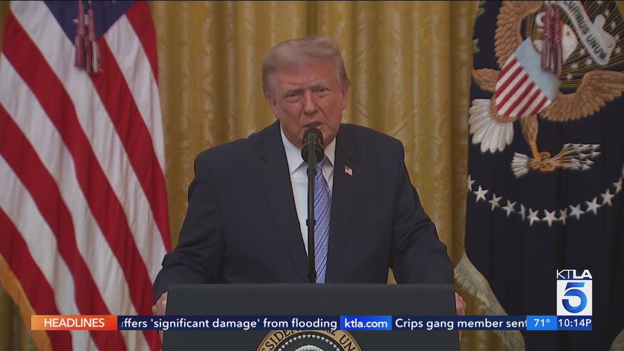 Trump claims new documents prove election fraud