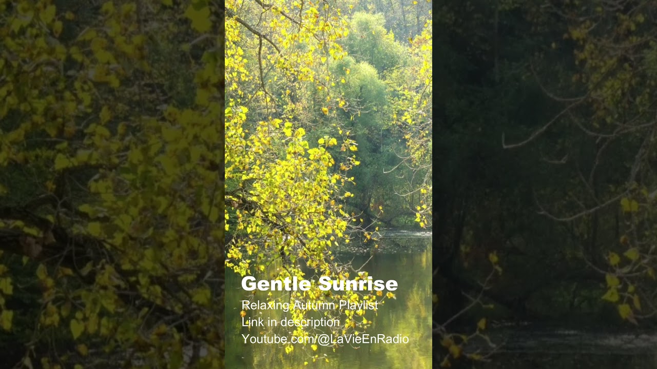 Gentle Sunrise – Autumn Instrumental Music [Shorts] 
