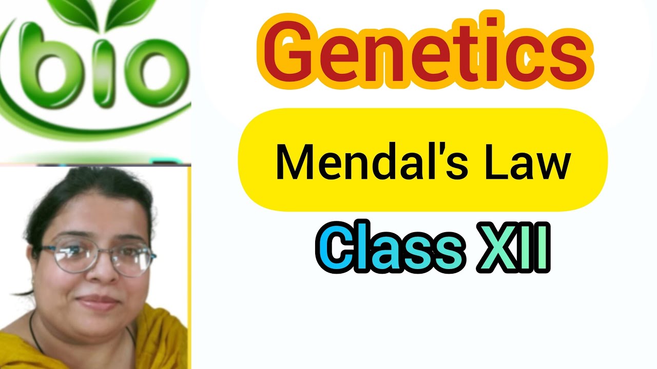 Mendel’s Law in Hindi |Mendel ke Niyam | Genetics Class 12 | NEET Biology |class 10