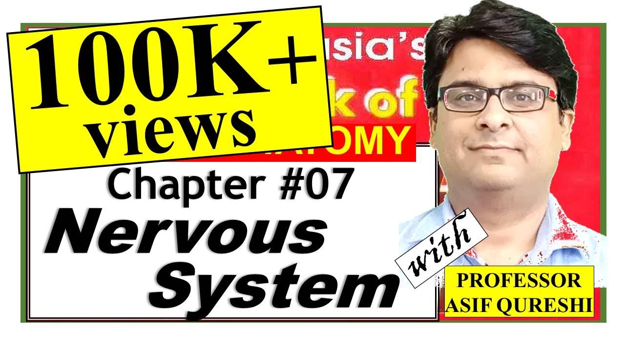 Chapter#7 | BD Chaurasia General Anatomy | Nervous System | Dr Asif Lectures