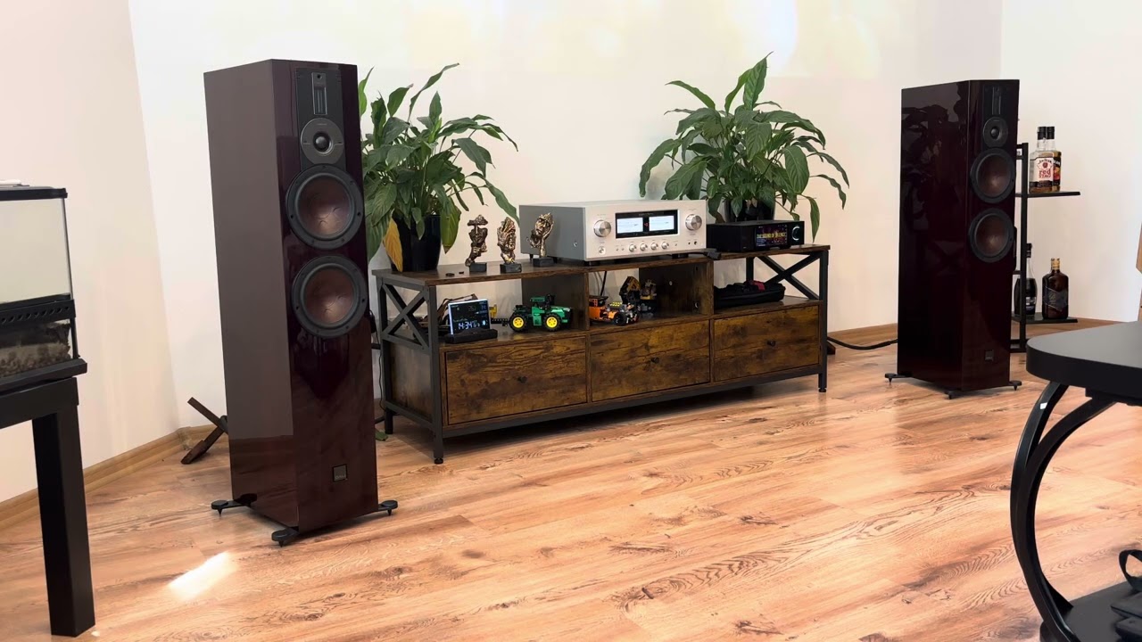 Luxman 505Z Dali Rubikore 6 Maroon Eversolo 