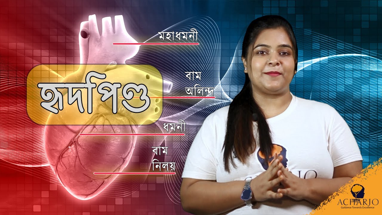 হৃদপিণ্ডের আভ্যন্তরীণ গঠন Structure of Heart #bengalboard #lifescience #education #humanheart