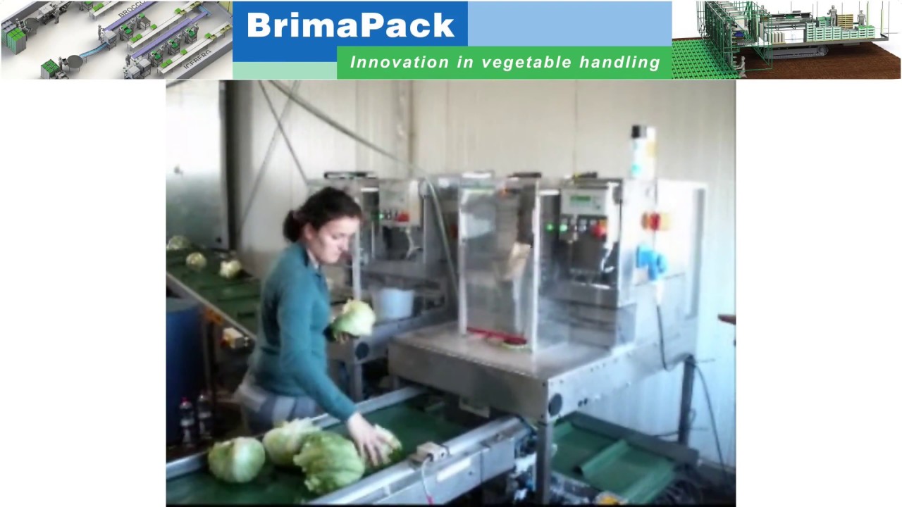 VePack PH Iceberg Lettuce packaging line