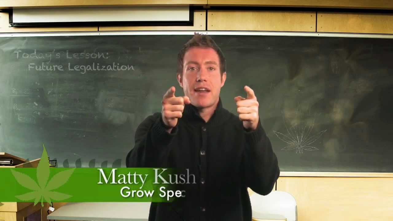 Medical Marijuana: Growing Support