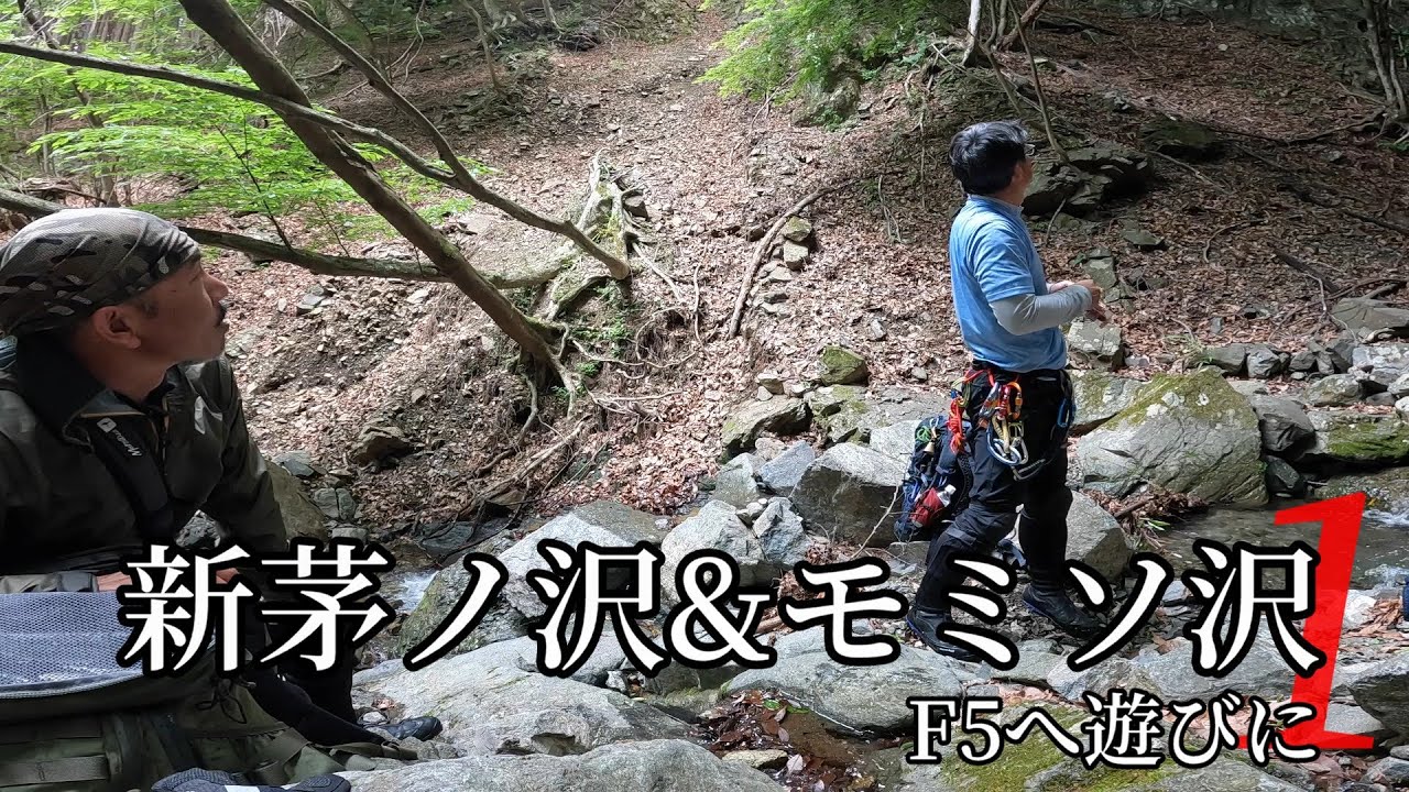 新茅ノ沢＆モミソ沢 1　F5へ遊びに