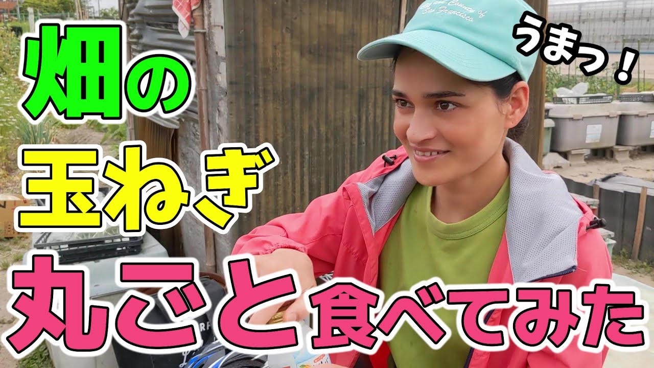 玉ねぎを一時間丸ごと煮たら、フルーツみたいに甘かったのでみんなも作ってみて！【国際結婚】