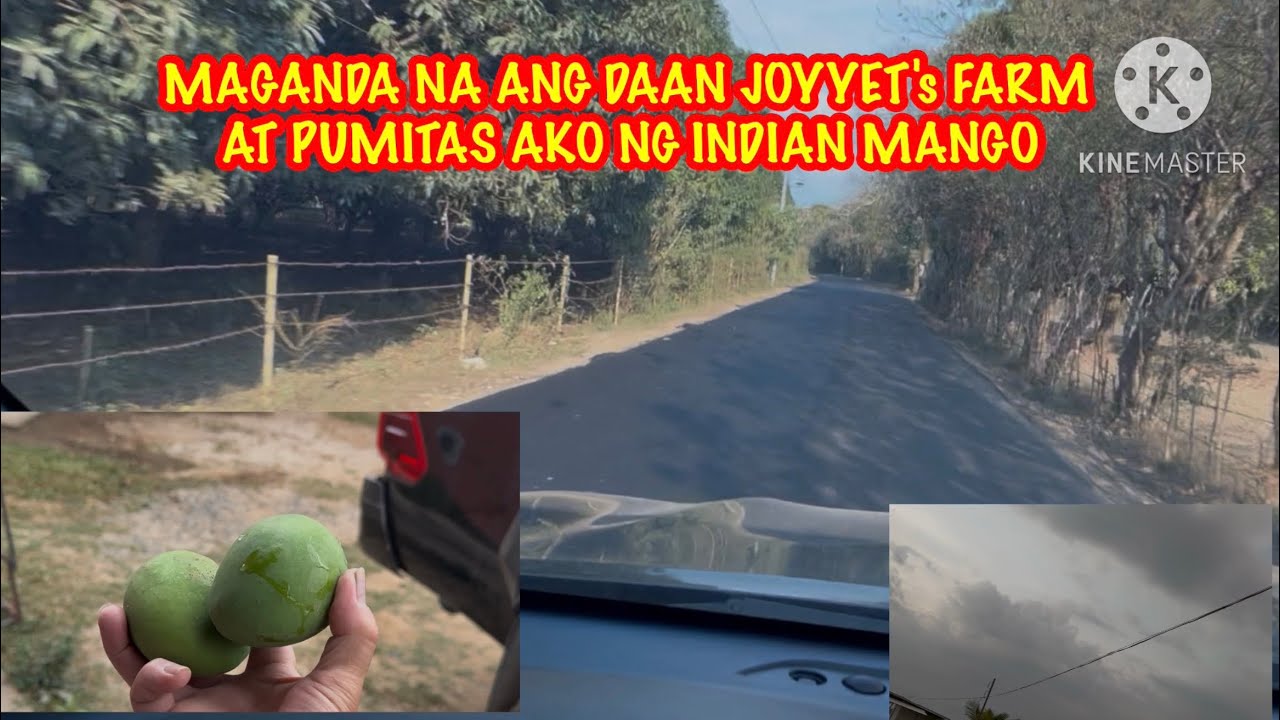 MAGANDA NA ANG DAAN SA JOYYET'S FARM ASPHALTADO NA ￼AT PUMITAS AKO NG MANGA