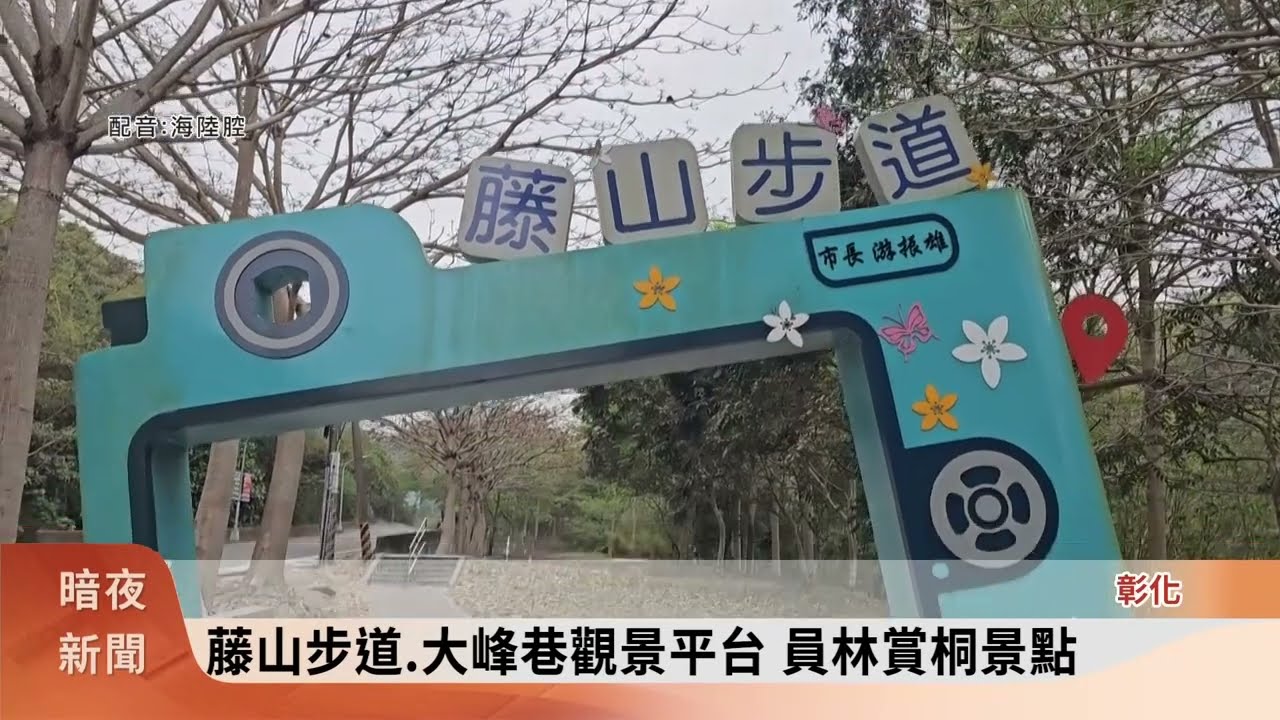 彰化桐花祭 健行賞花體會客家文化之美【客家新聞20260401】