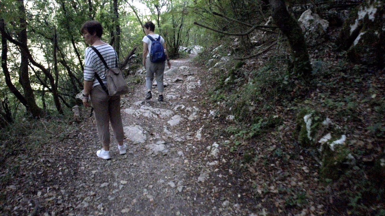 Walk Along the Trail Sentona  (Istria - Croatia) I October 2023 I 4K