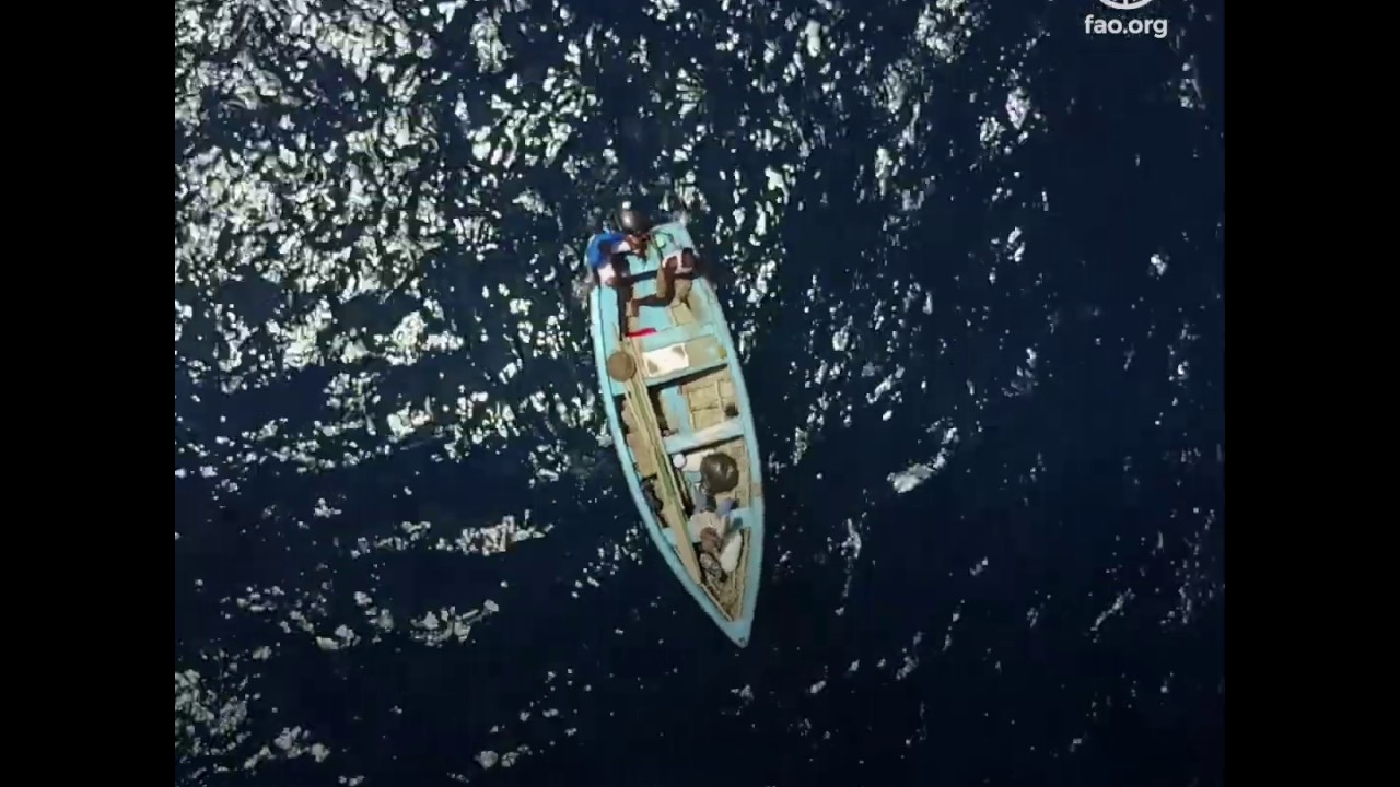 Take a minute to think about the oceans...