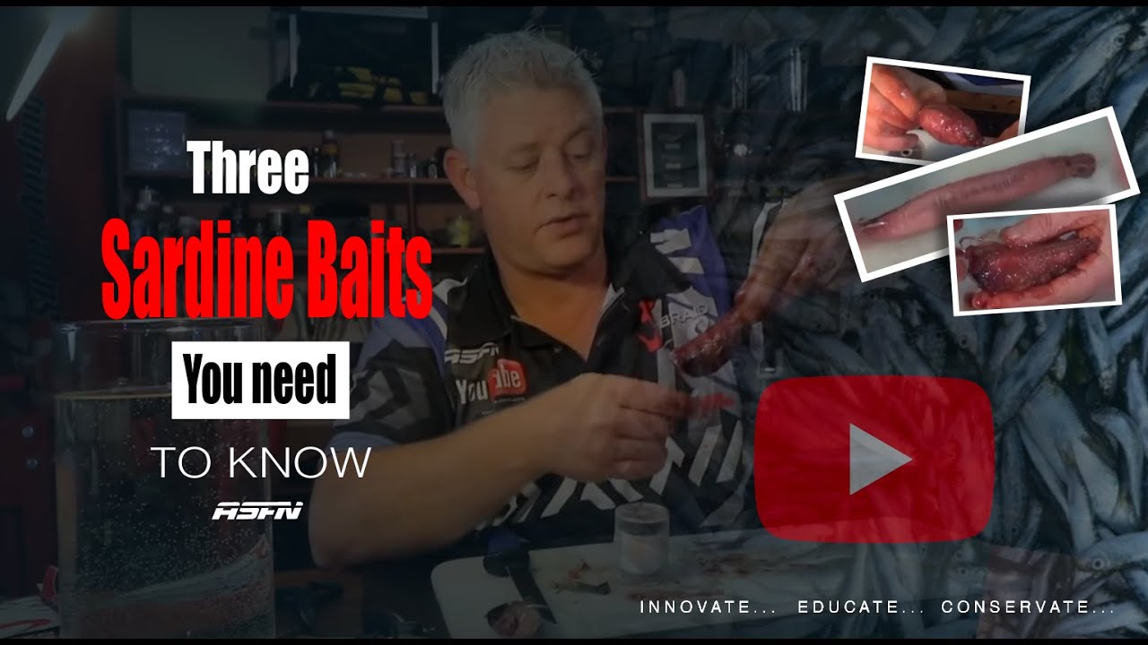 Три наживки для сардин, которые вам нужно знать!!! | ASFN Baits & Traces