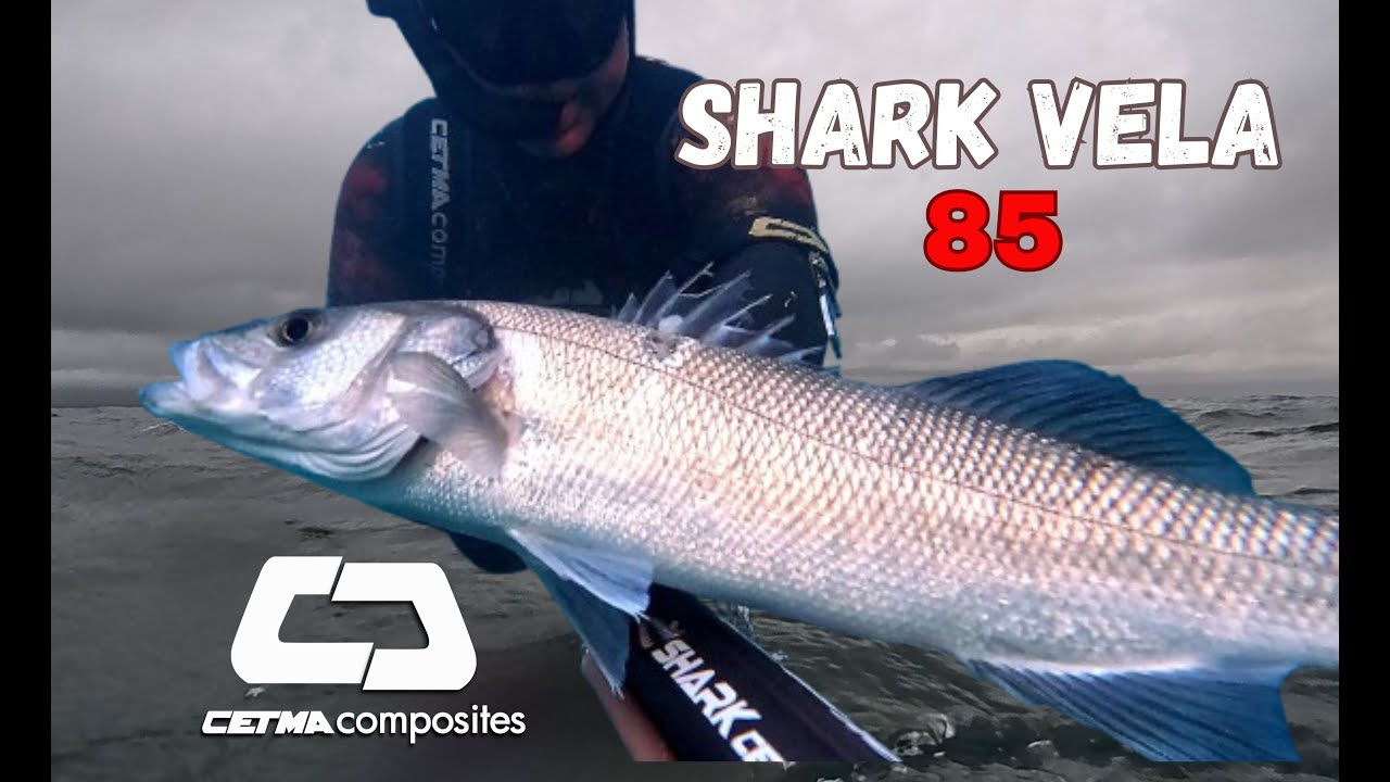 pescasub: gennaio 2026 