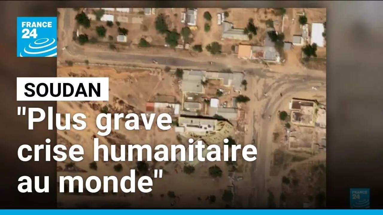 Soudan : les FSR disent avoir arr&ecirc;t&eacute; plusieurs de leurs combattants &bull; FRANCE 24