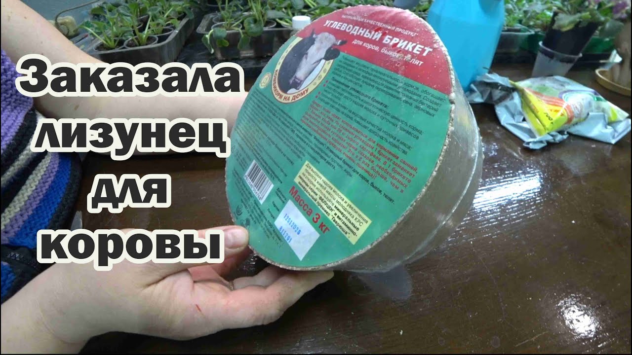 Обзор покупок с маркетплейсов: таблички, стаканчики, опрыскиватель, инсектицид, семена, лизунец