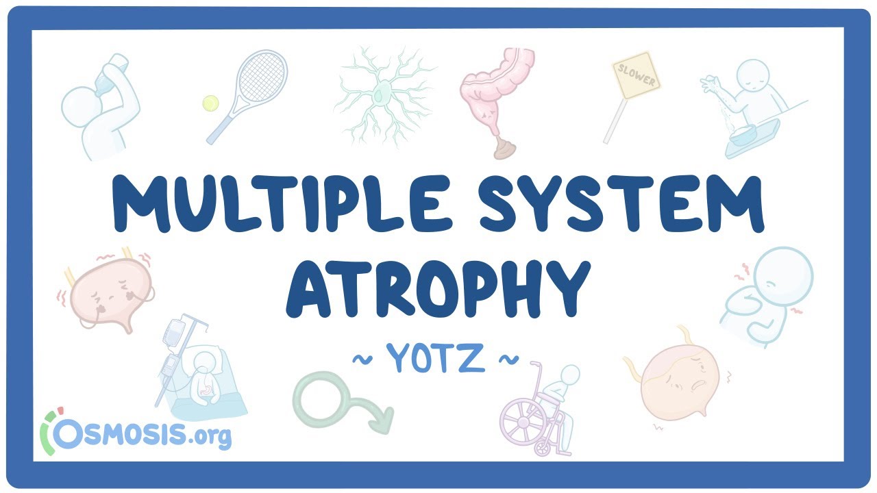 Multiple system atrophy (MSA) (Year of the Zebra 2025)