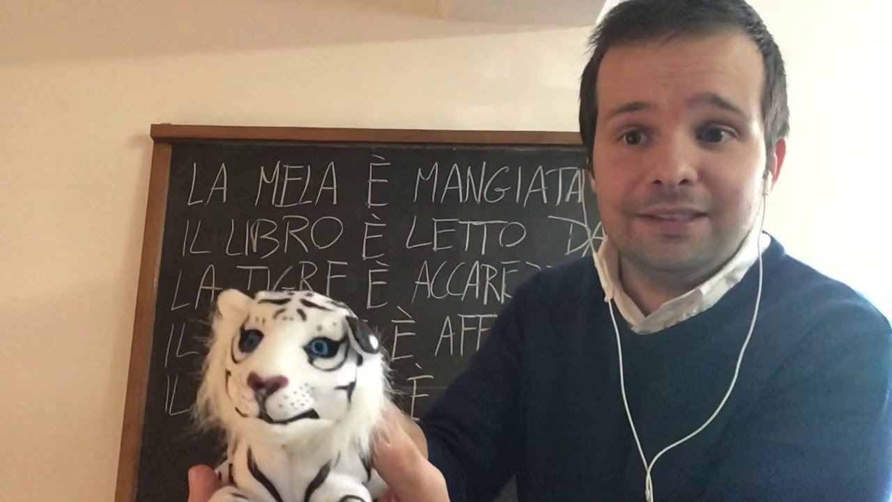 Verbi transitivi e intransitivi. Verbi attivi e passivi