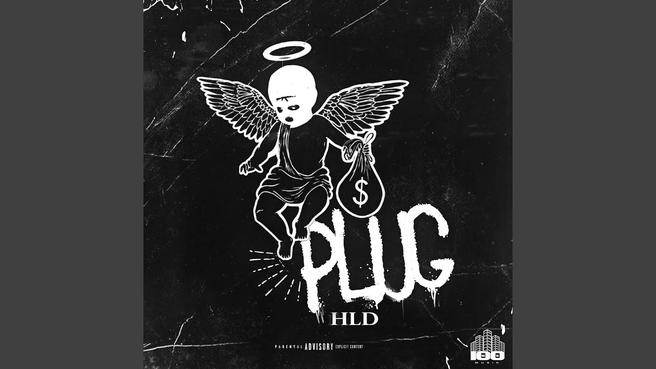 Plug
