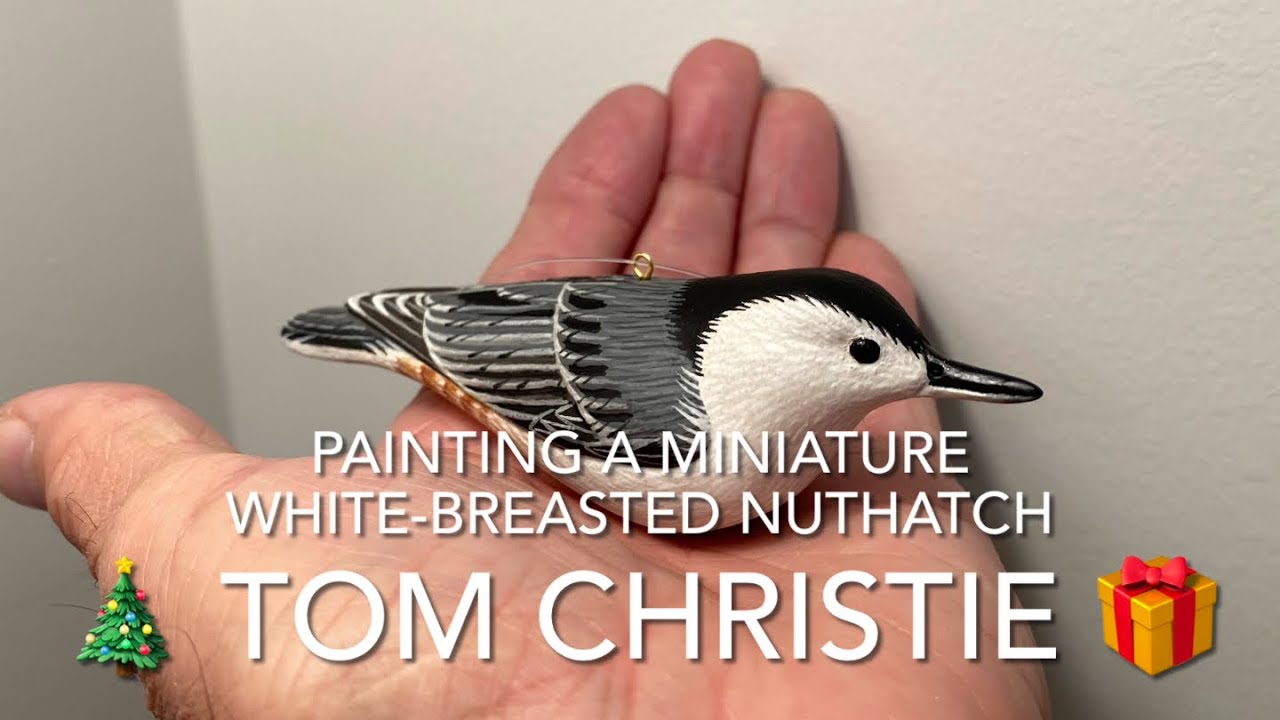Painting a White-breasted Nuthatch Miniature - Christmas Ornament