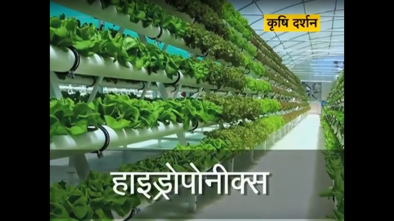 Krishi Darshan - Hydroponics Farming special