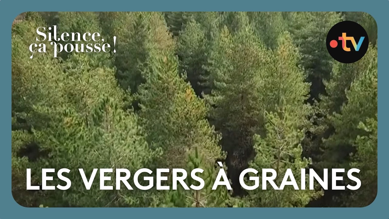 Les vergers &agrave; graines  - Silence &ccedil;a pousse !