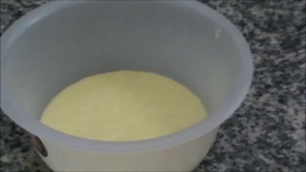 Bûche citron soleil d'hiver les mousses et le montage 4/5