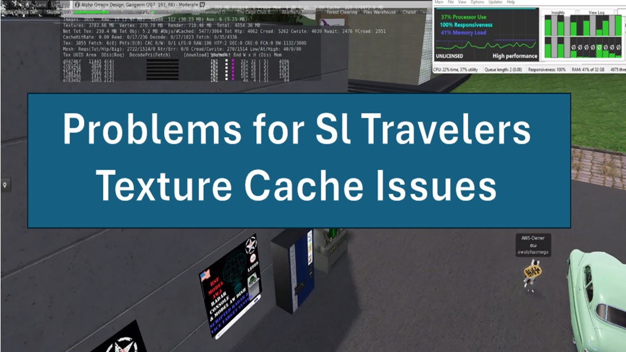 Texture Cache Issues in Second Life | AW&rsquo;s Viewer Graphics Report