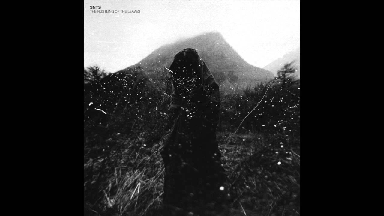 SNTS - Theory Of Loneliness