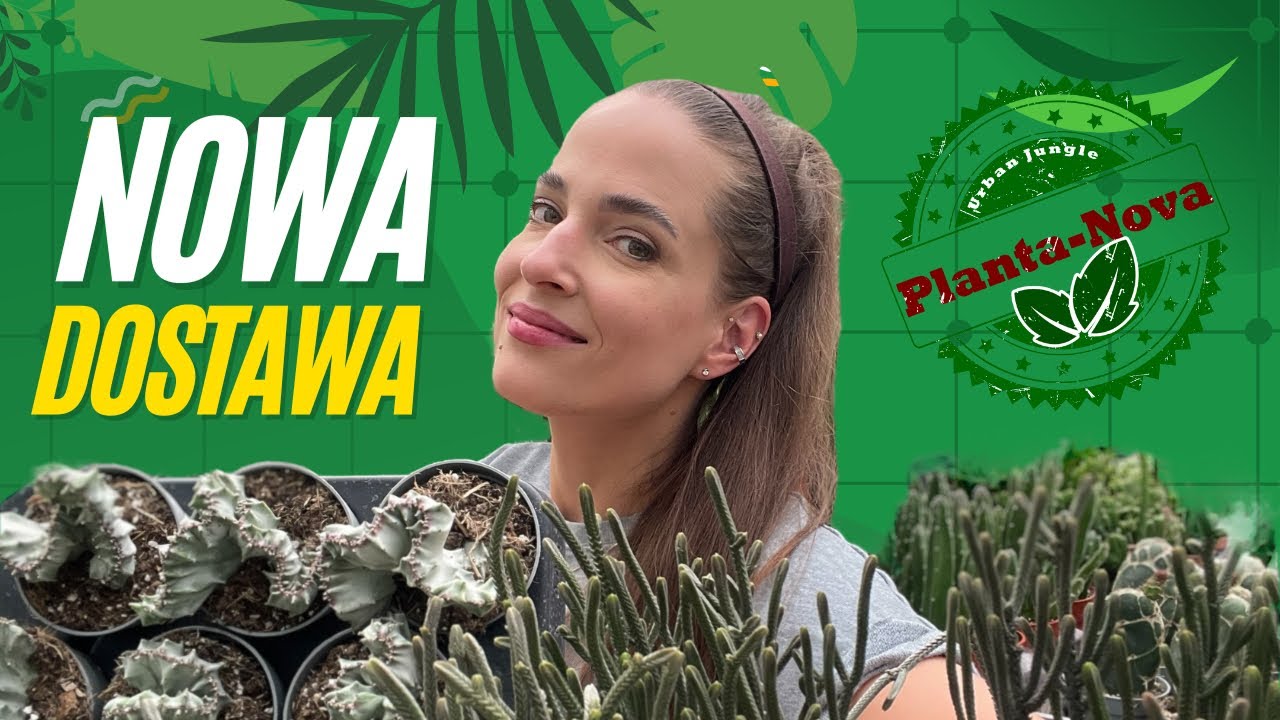 Nowe Hoje, Geranium cola, rzadkie Storczyki, Mestoklema i wiele innych! czyli INTENSYWNA DOSTAWA💚