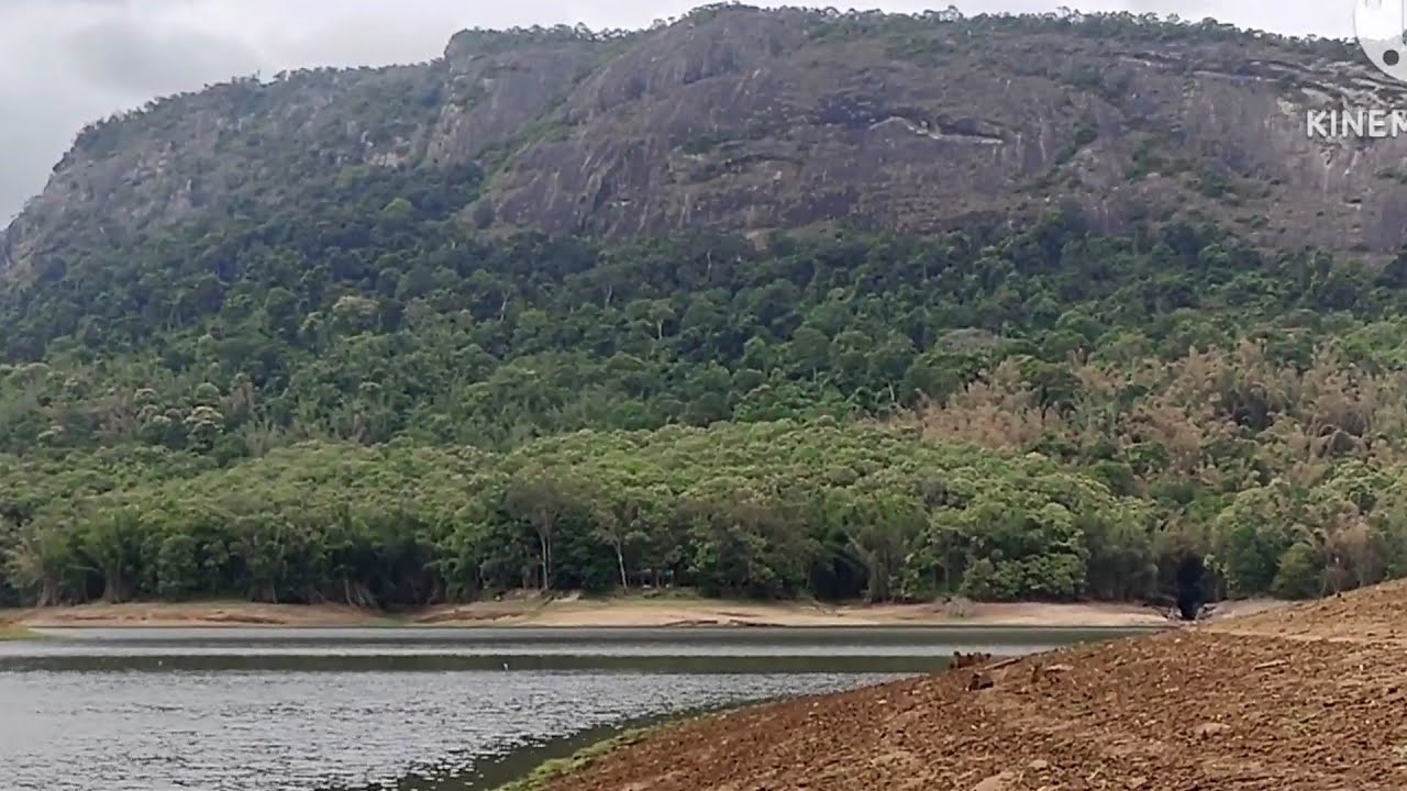 parambikulam | Thunakadavu dam parambikulam | Parambikulam Tiger reserve | Stay inside forest