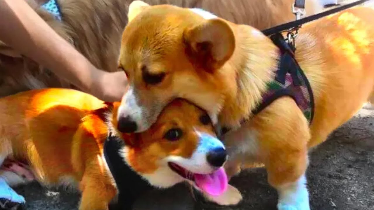 ALL OF r/BLESSEDIMAGES